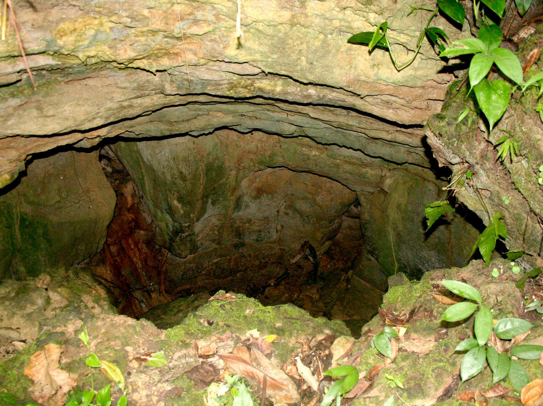 Cueva de Tambo Ushco景点图片