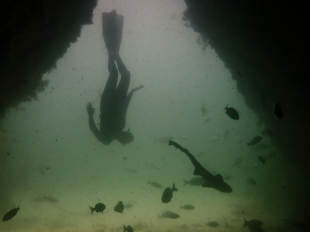 Cape Town Freediving-Muizenberg必去景点