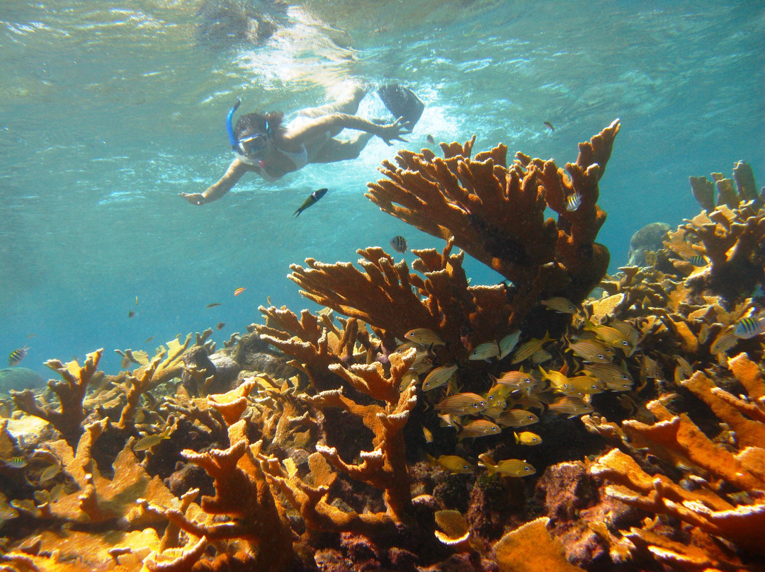 Caribe Extremo-圣安德烈斯必去景点