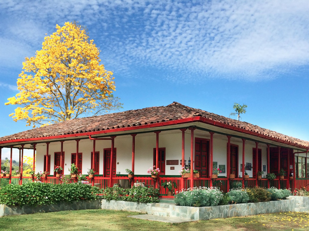 Ocaso Cafe Tour-萨伦托必去景点