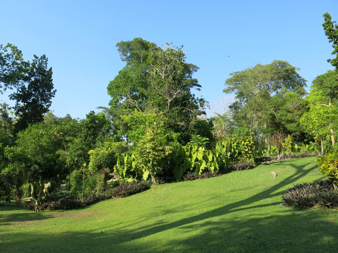 Turbaco旅游景点-Jardín Botánico De Cartagena Guillermo Piñeres