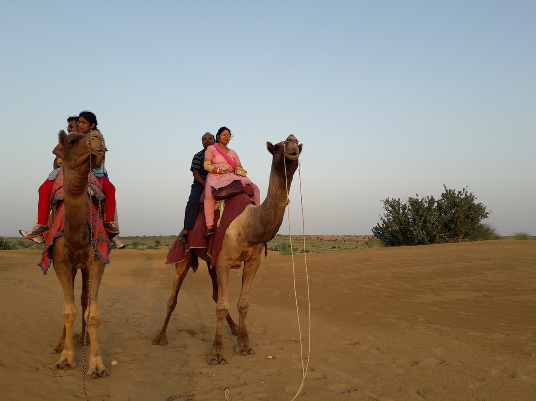 Hotel Sallu Safari景点图片