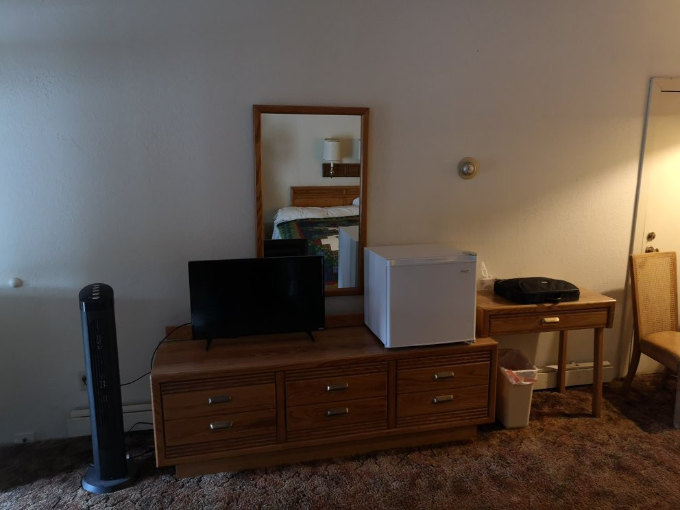 The Golden Bear主图