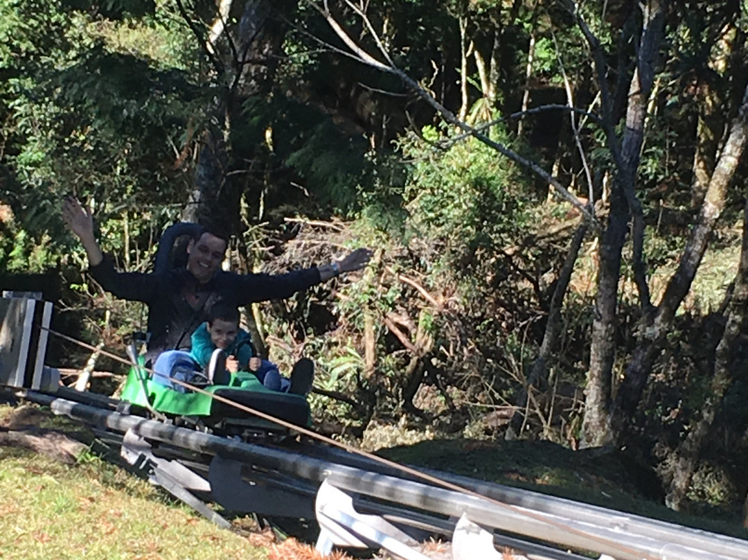 阿尔卑斯山公园-卡内拉必去景点