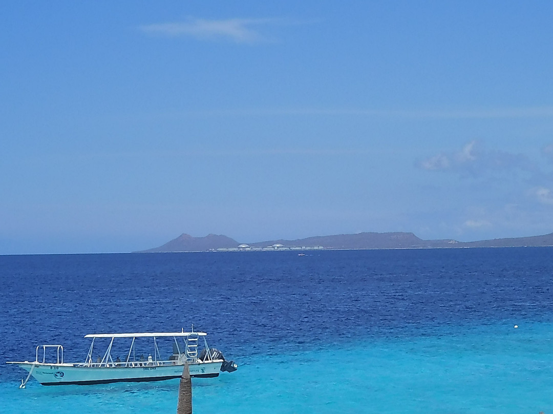 Buddy Dive Resort主图