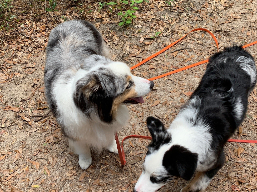 Whispering Pines Park-因弗内斯必去景点