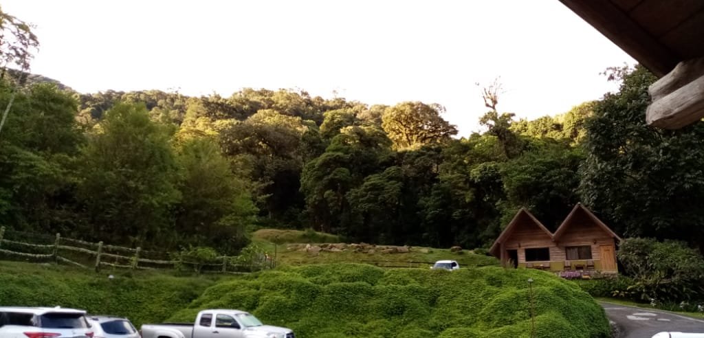 Boquete Tree Trek Mountain Resort-酒店景观
