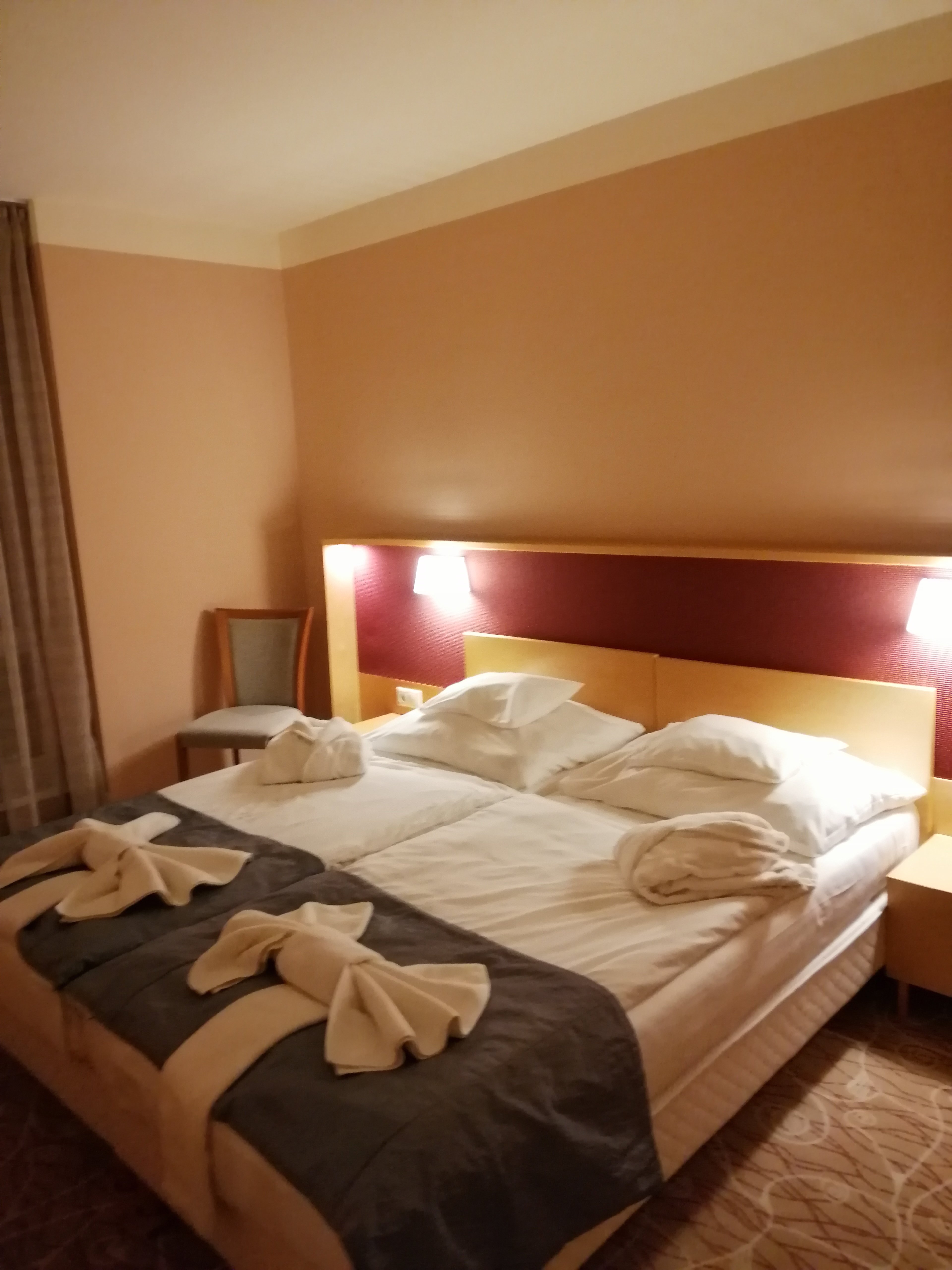 Dráva Hotel - Harkány-官方