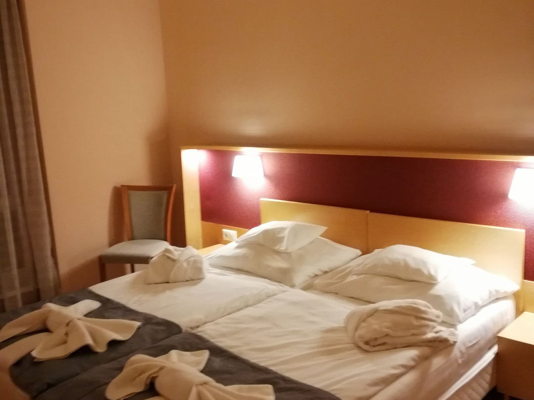 Dráva Hotel - Harkány主图