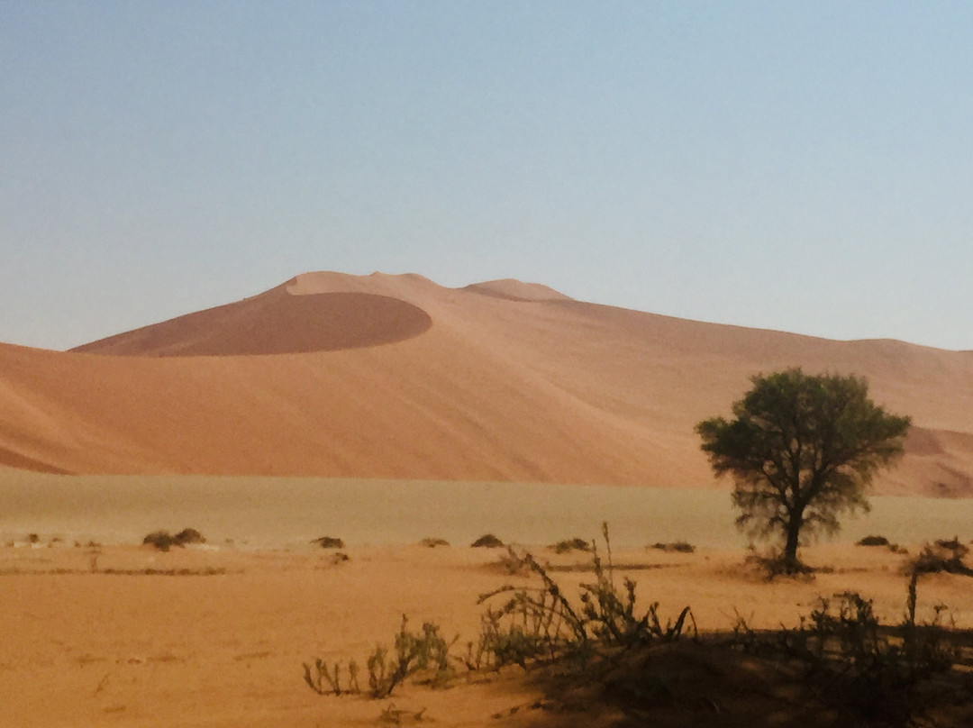Namib-Naukluft National Park景点图片