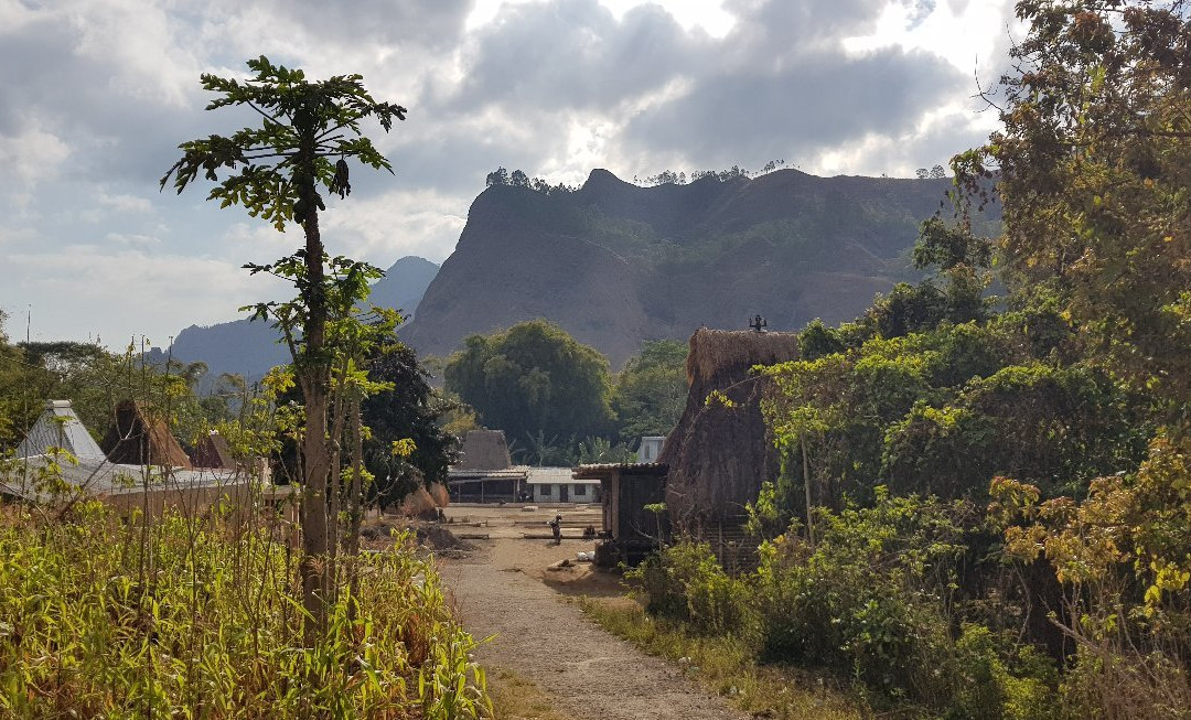 Kristian Homestay主图