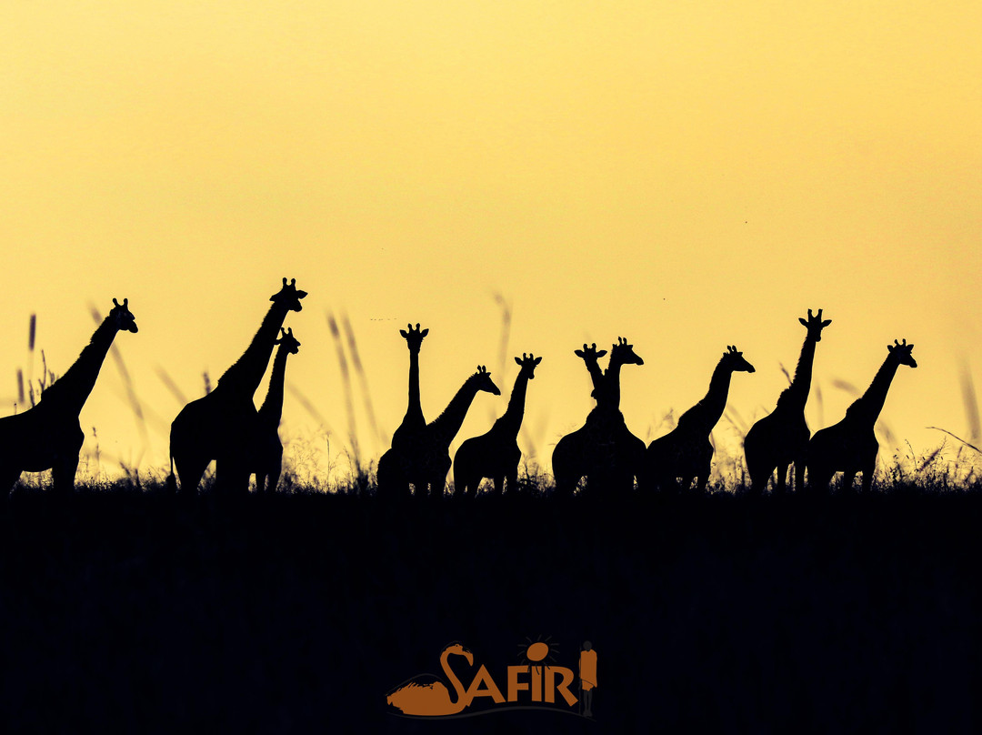 Luxing Warriors-内罗毕必去景点