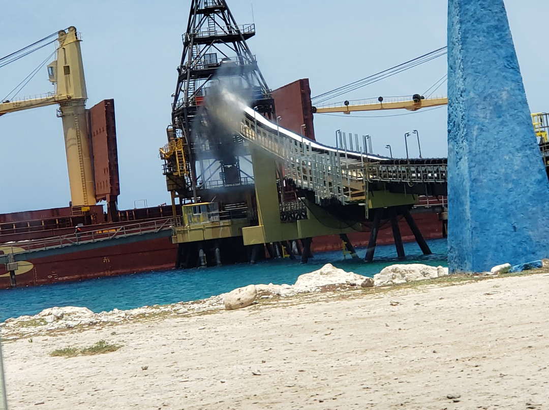 Pekelmeer Flamingo Sanctuary-博奈尔岛必去景点