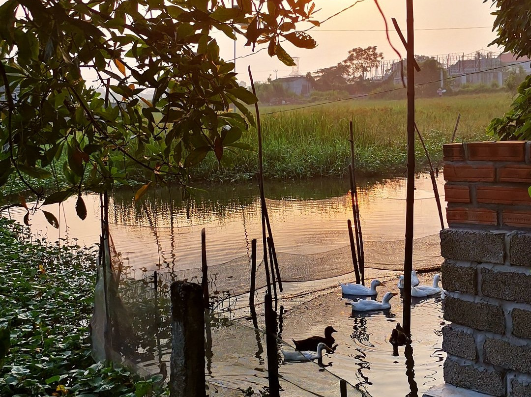 Ninh Binh Village1990 Homestay主图