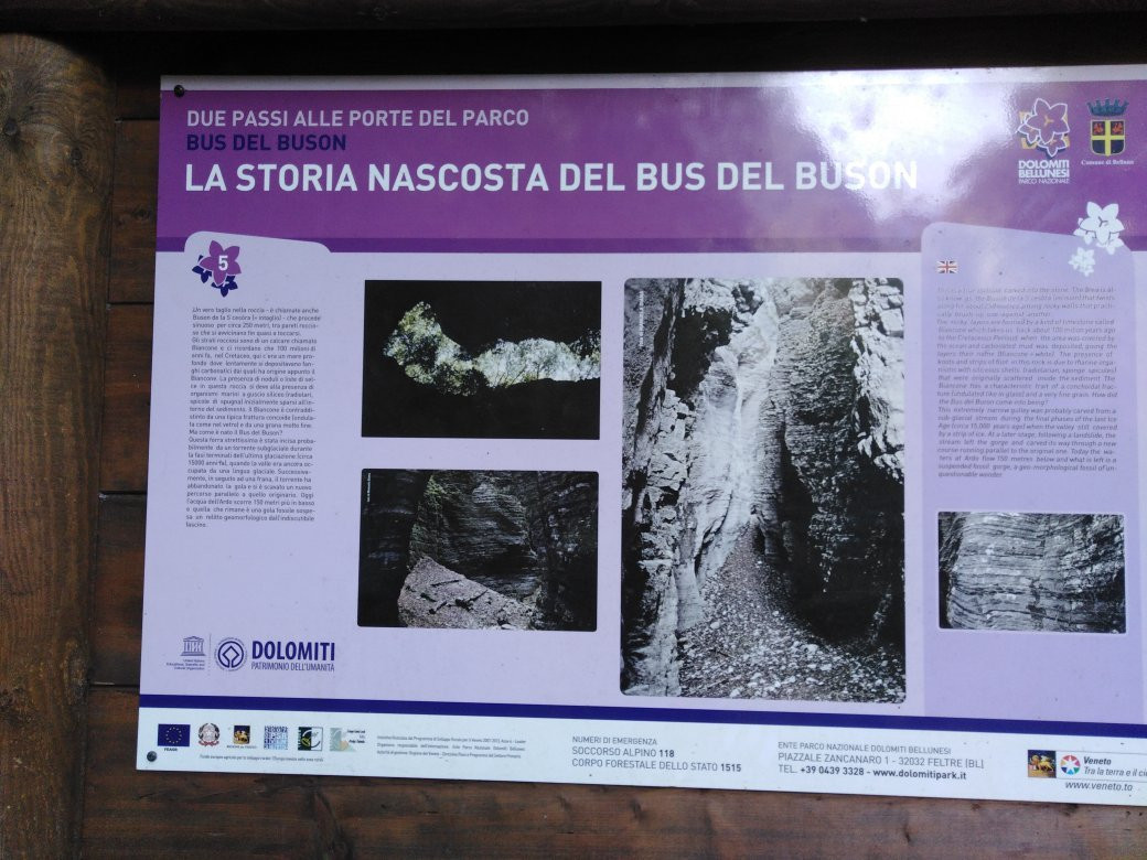 Bus del Buson景点图片