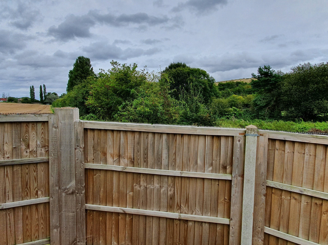 Bridleways Guest House & Holiday Homes主图