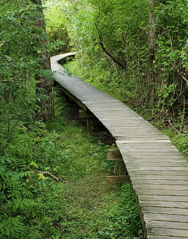 White Memorial Conservation Center-利奇菲尔德必去景点