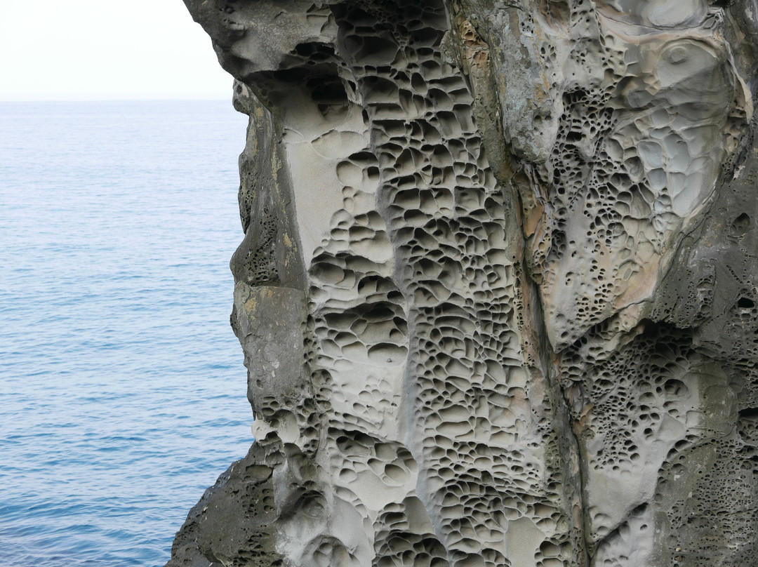Muroto UNESCO Global Geopark-室户市必去景点