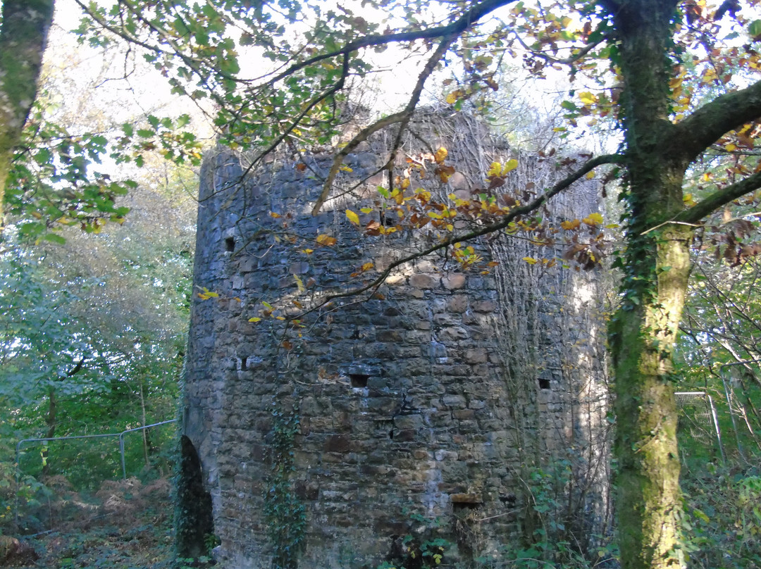 Clyne Valley Country Park-斯温西必去景点