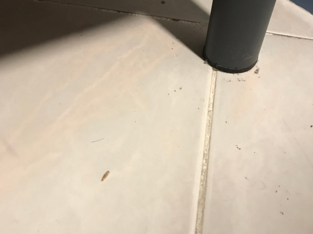 B&B 5 di Spade主图