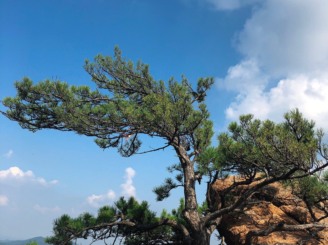 千山-鞍山市必去景点