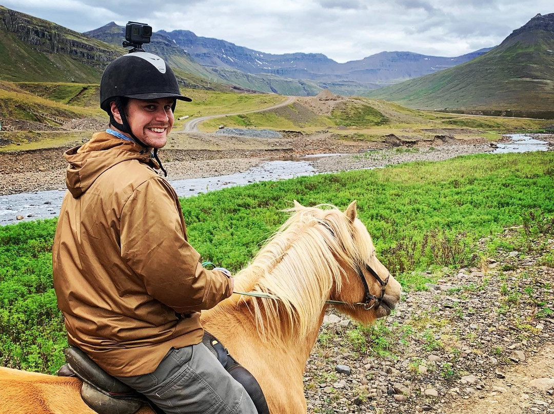 Skorrahestar - Riding Tours-内斯克伊斯塔泽必去景点