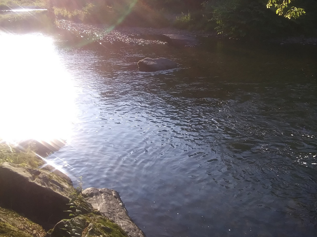 Sonoma Falls-Livingston Manor必去景点
