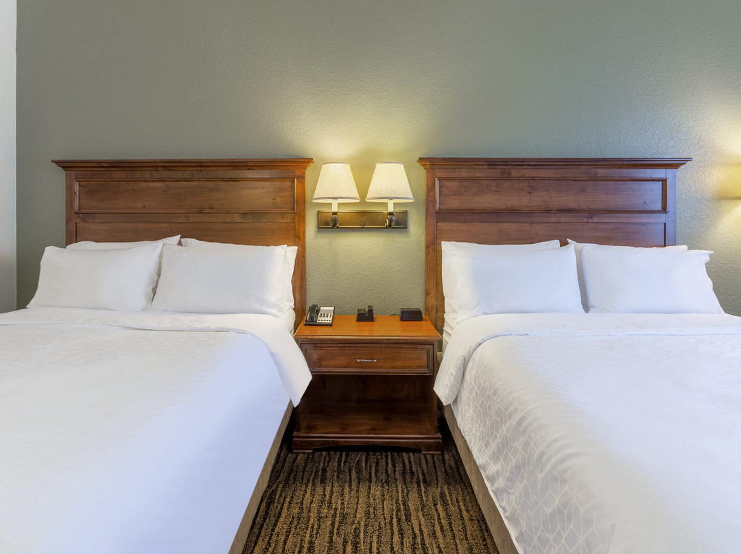 Comfort Inn & Suites Mt. Rushmore主图