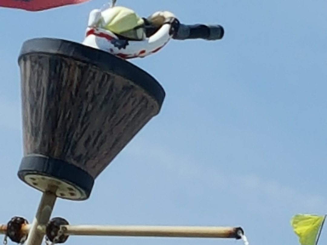 Jungle Jim's-里霍博斯比奇必去景点