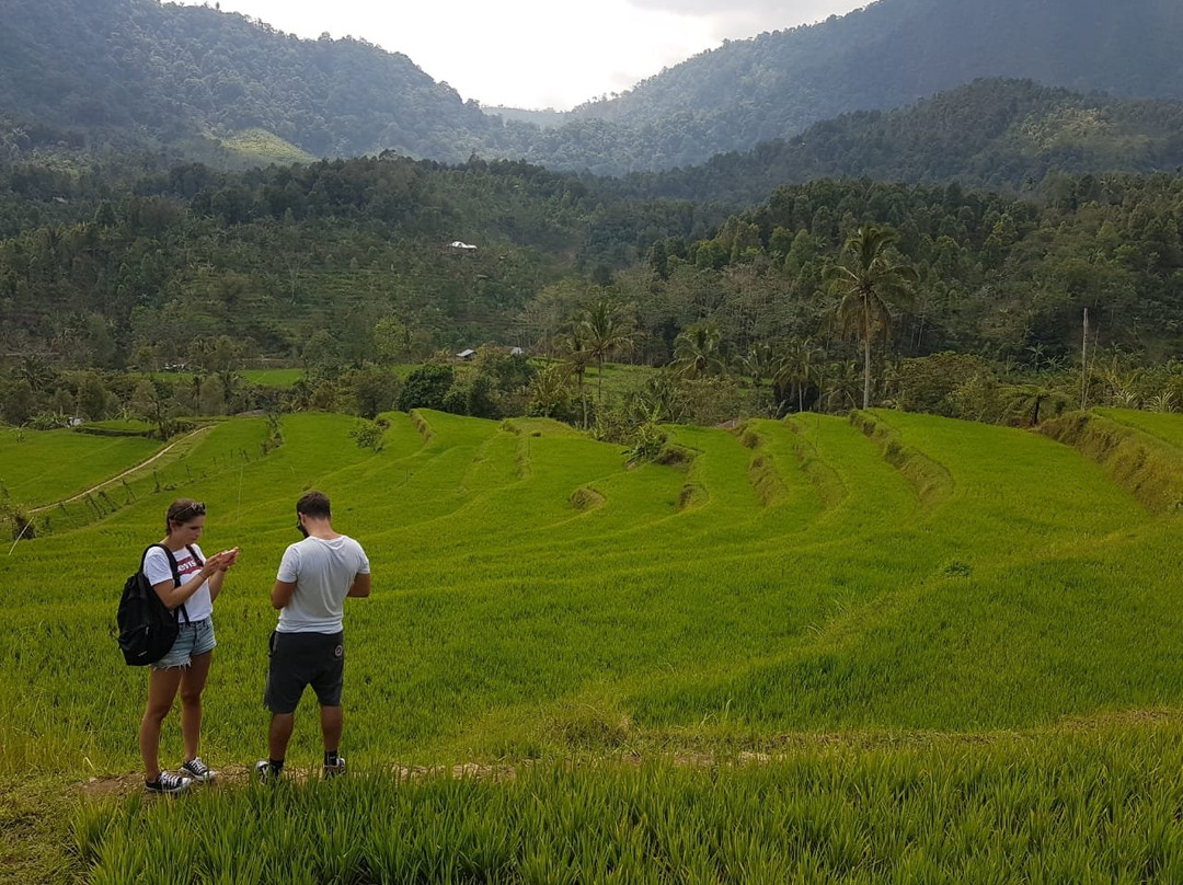 Galungan Waterfalls Trekking-新加拉惹必去景点