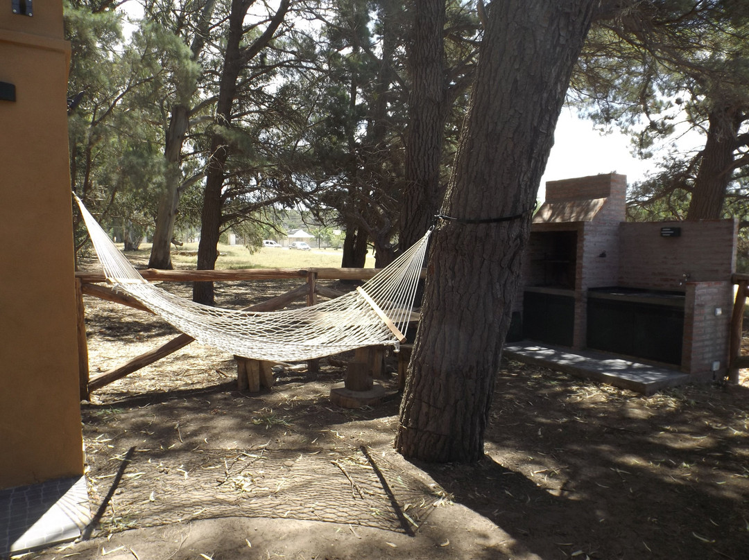 Cabañas La Felicidad en Claromeco主图