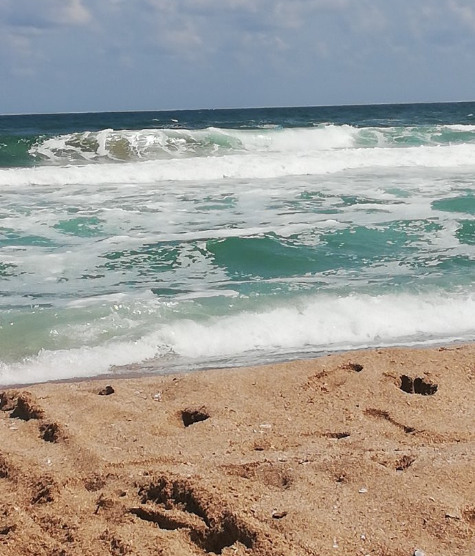 Harmani Beach-索佐波尔必去景点