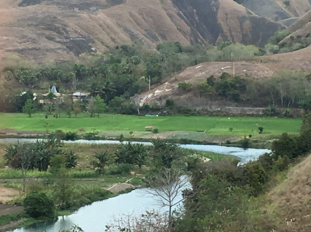 Morinda villa and Resto主图