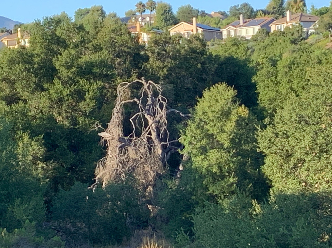 Thomas F. Riley Wilderness Park-Trabuco Canyon必去景点