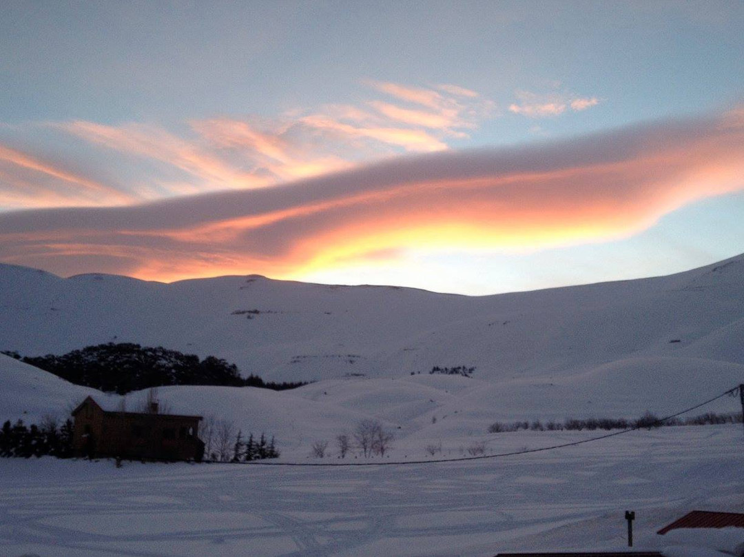 Al Arz旅游攻略图片