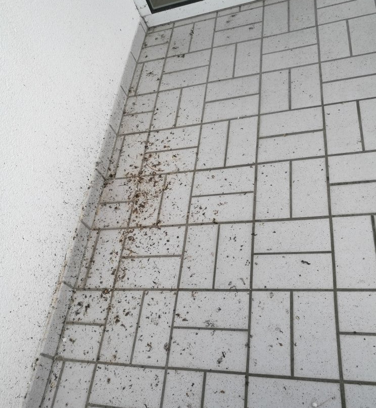 Ostsee Residenz主图