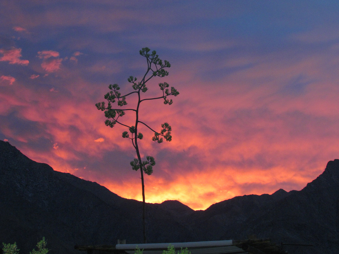 Borrego Valley Inn主图