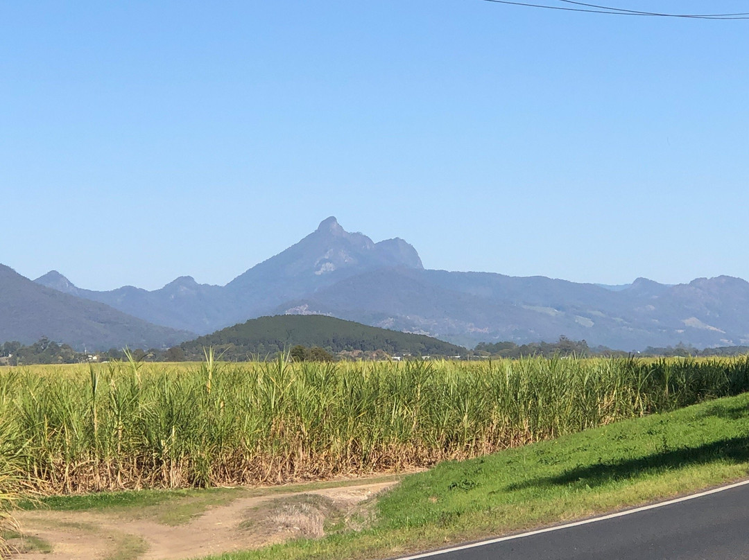 Mount Warning Summit Trail景点图片