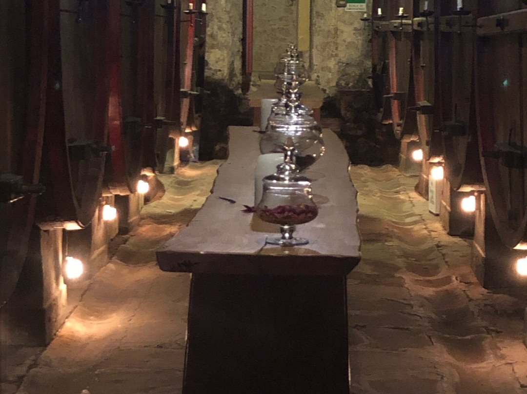 Cantina Castelvecchi in Chianti-拉达因基安蒂必去景点
