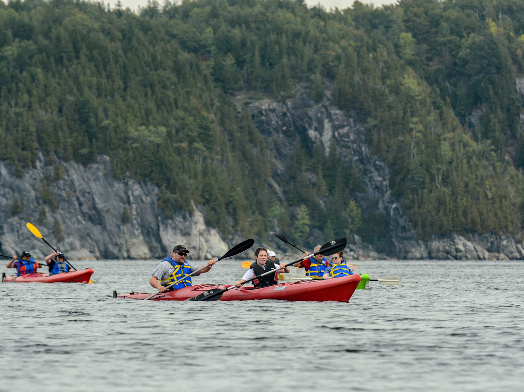 Dominion Park-圣约翰必去景点