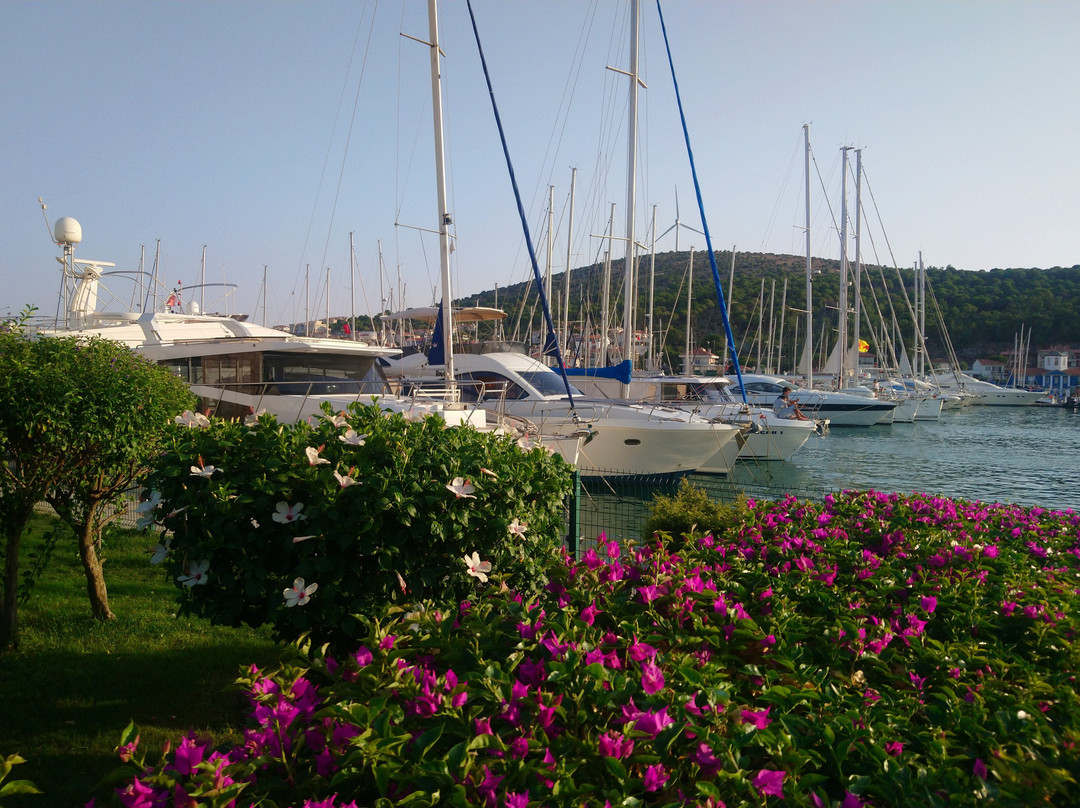 Dalyan Marina景点图片
