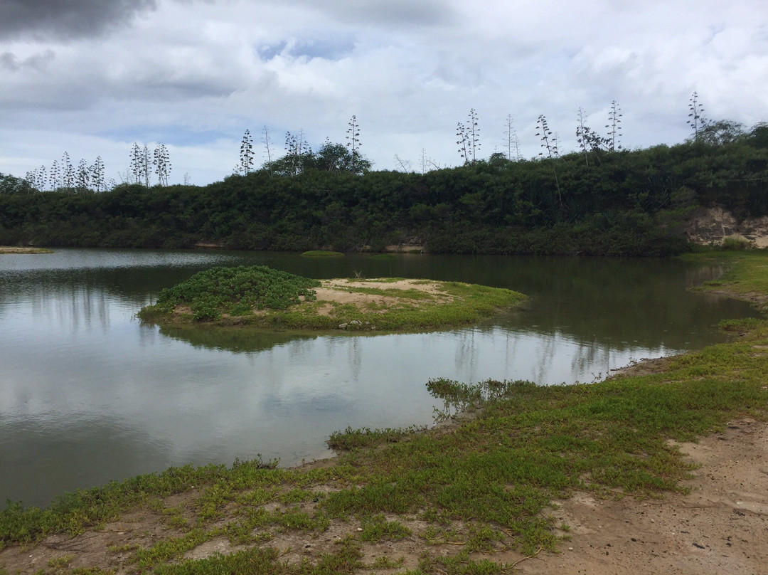 Kawai‘ele Waterbird Sanctuary-科卡哈必去景点