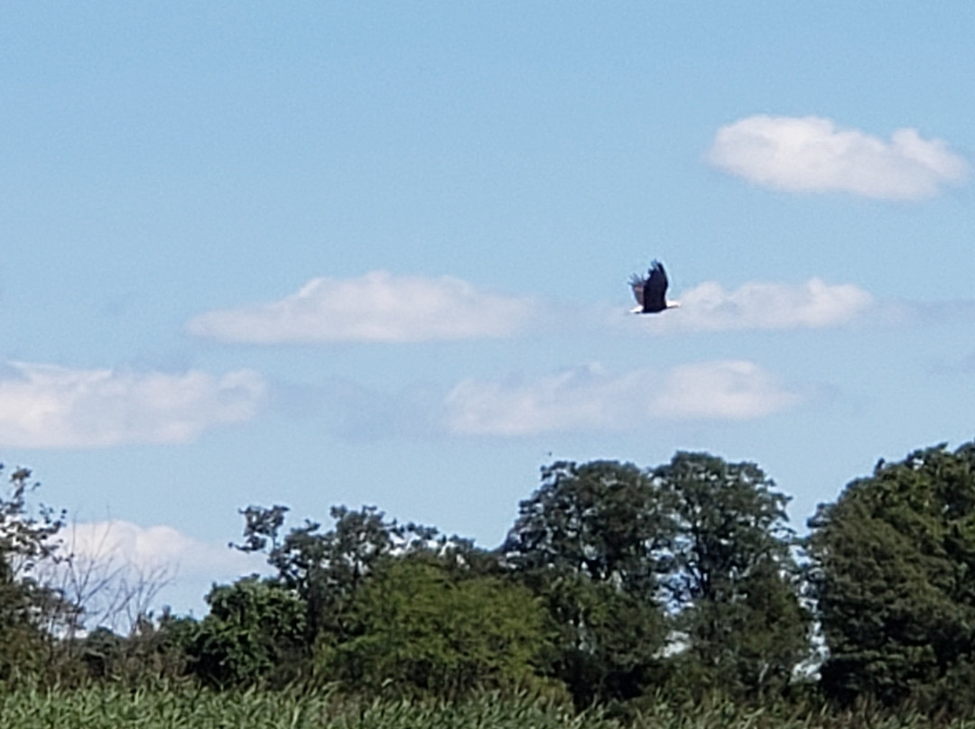 Chester River Kayak Adventures-Rock Hall必去景点