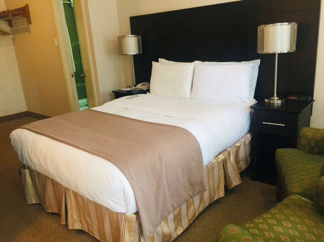 Hotel-Motel Coconut主图