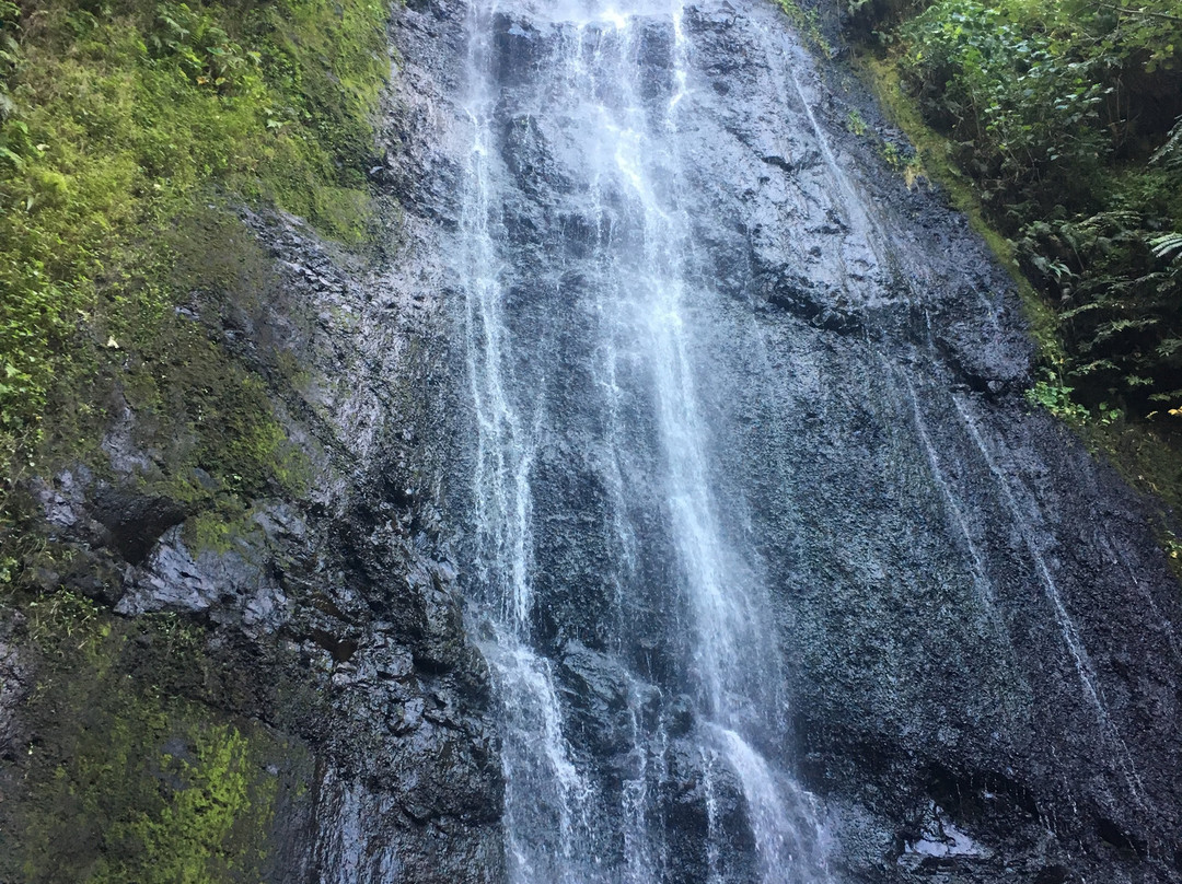 Afareaitu Waterfalls景点图片