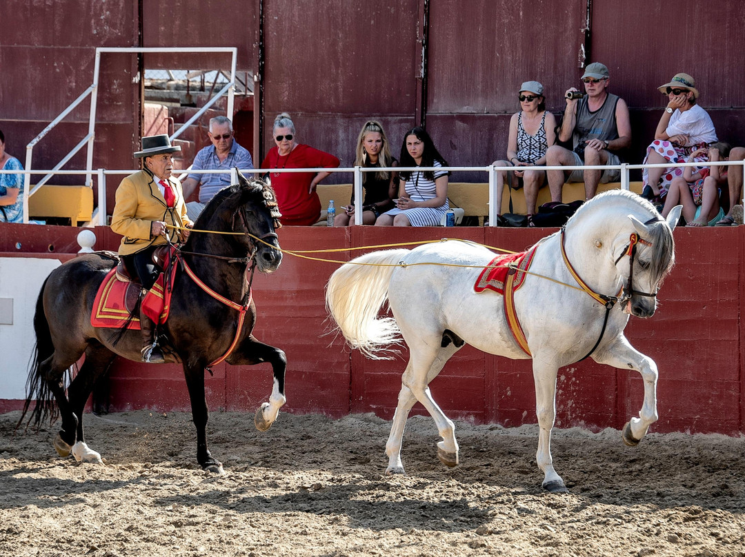 Spanish Night-Las Lagunas de Mijas必去景点