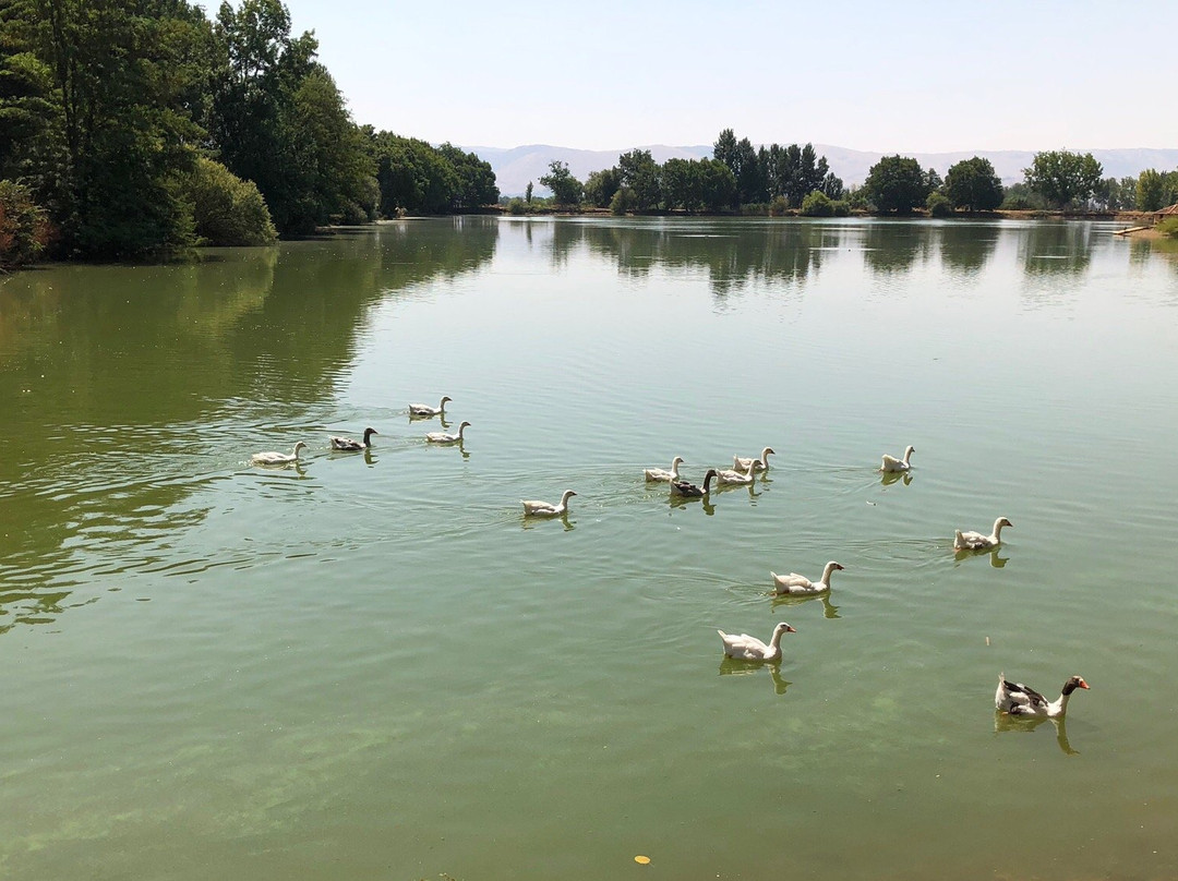 Bekaa Valley-安贾尔必去景点