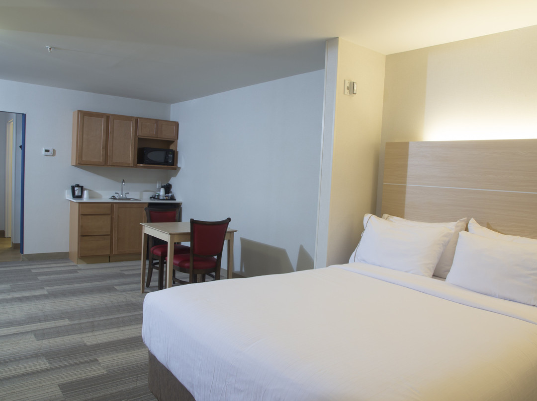 Holiday Inn Express & Suites Rochester Hills - Detroit Area By IHG主图