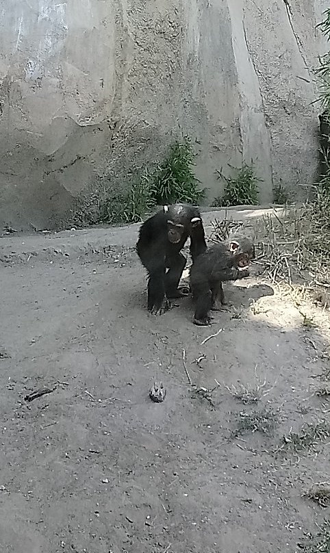 Zoo Leipzig景点图片