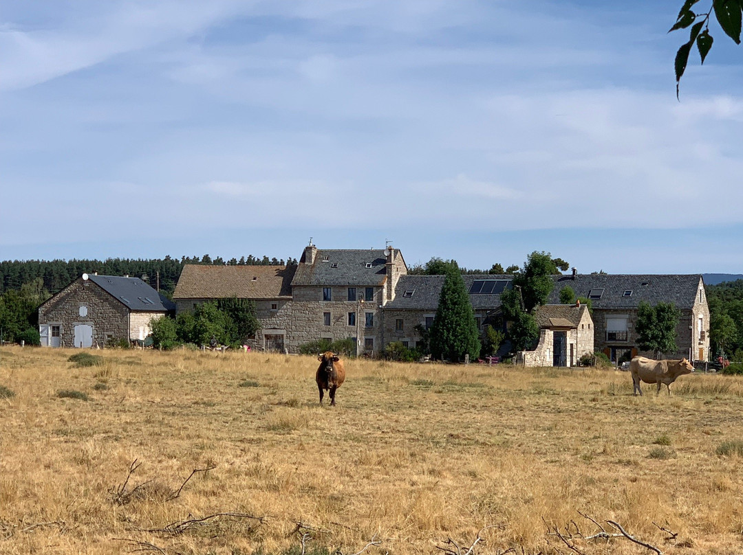 La Grange D'Emilie主图